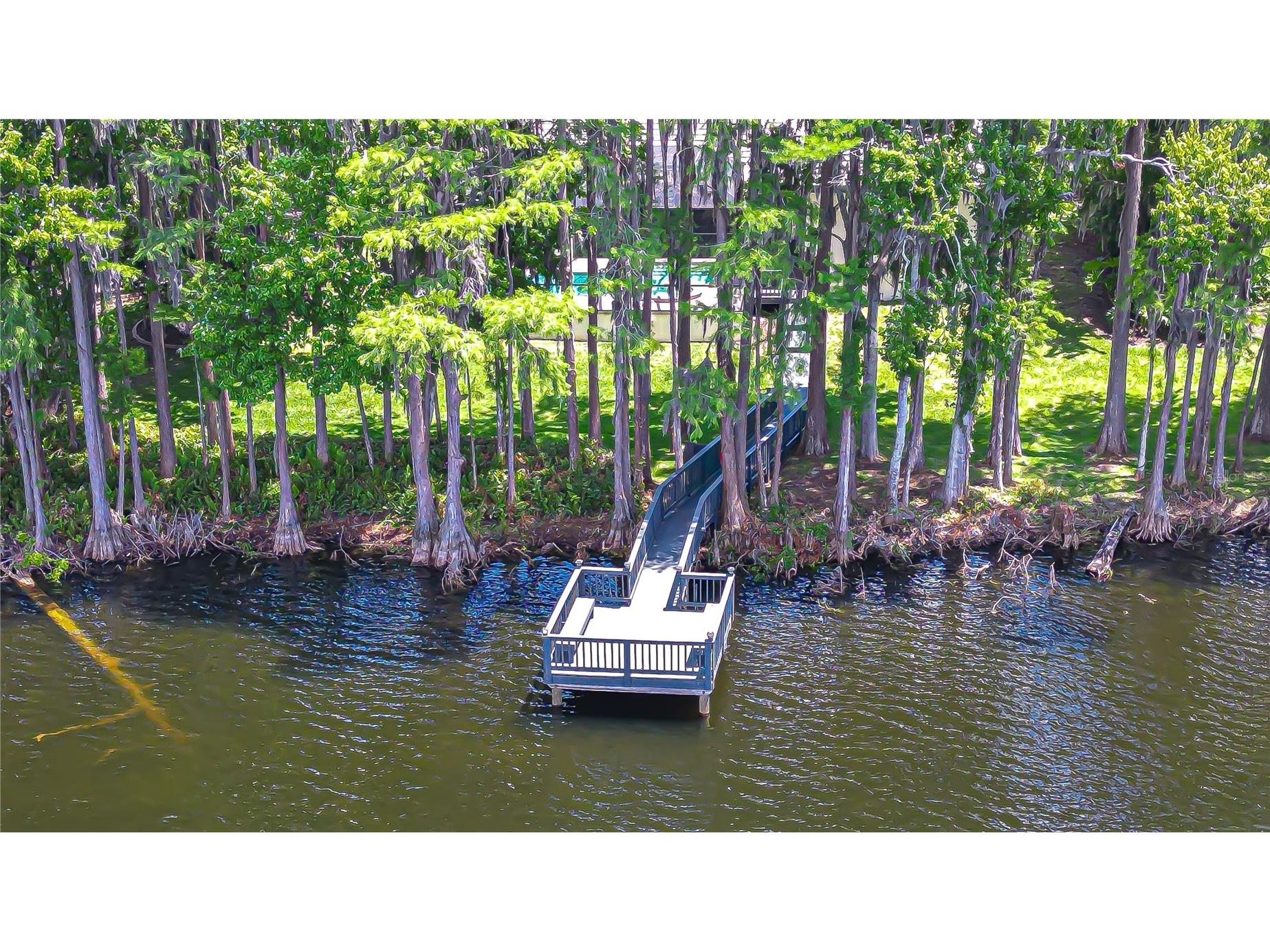 20915 Lake Vienna Drive Land O Lakes FL 34638 - BIG LAKE VIENNA TB8502586 image43