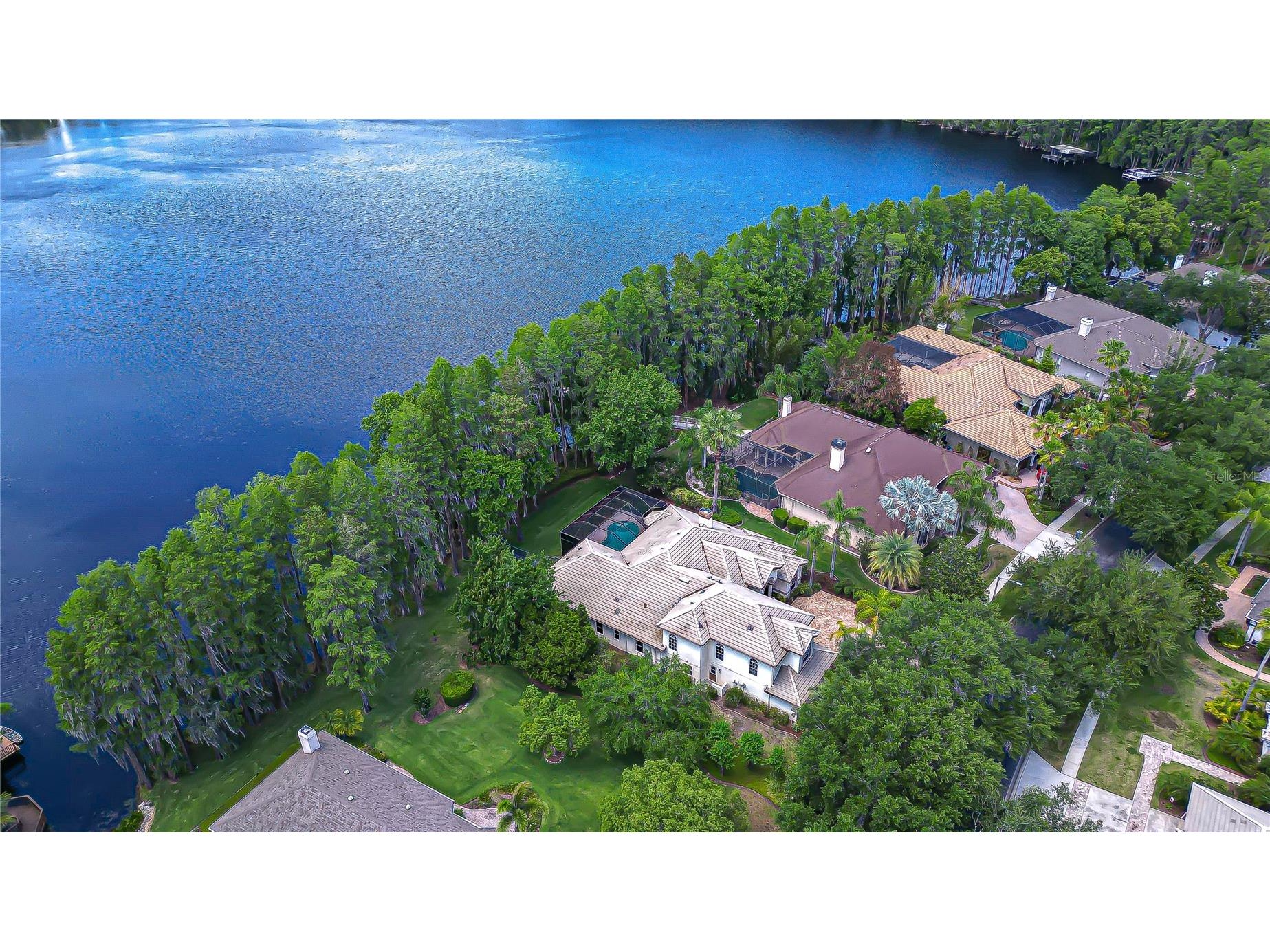 20915 Lake Vienna Drive Land O Lakes FL 34638 - BIG LAKE VIENNA TB8502586 image44