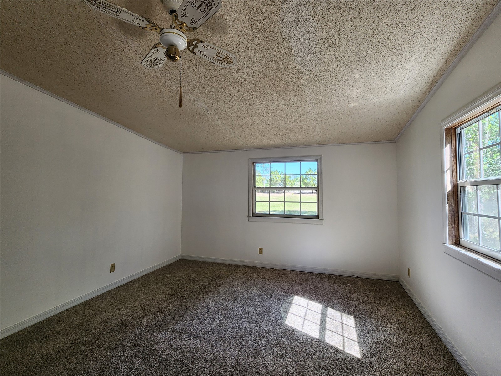 20916 County Road 44a Eustis FL 32736 G5110584 image14