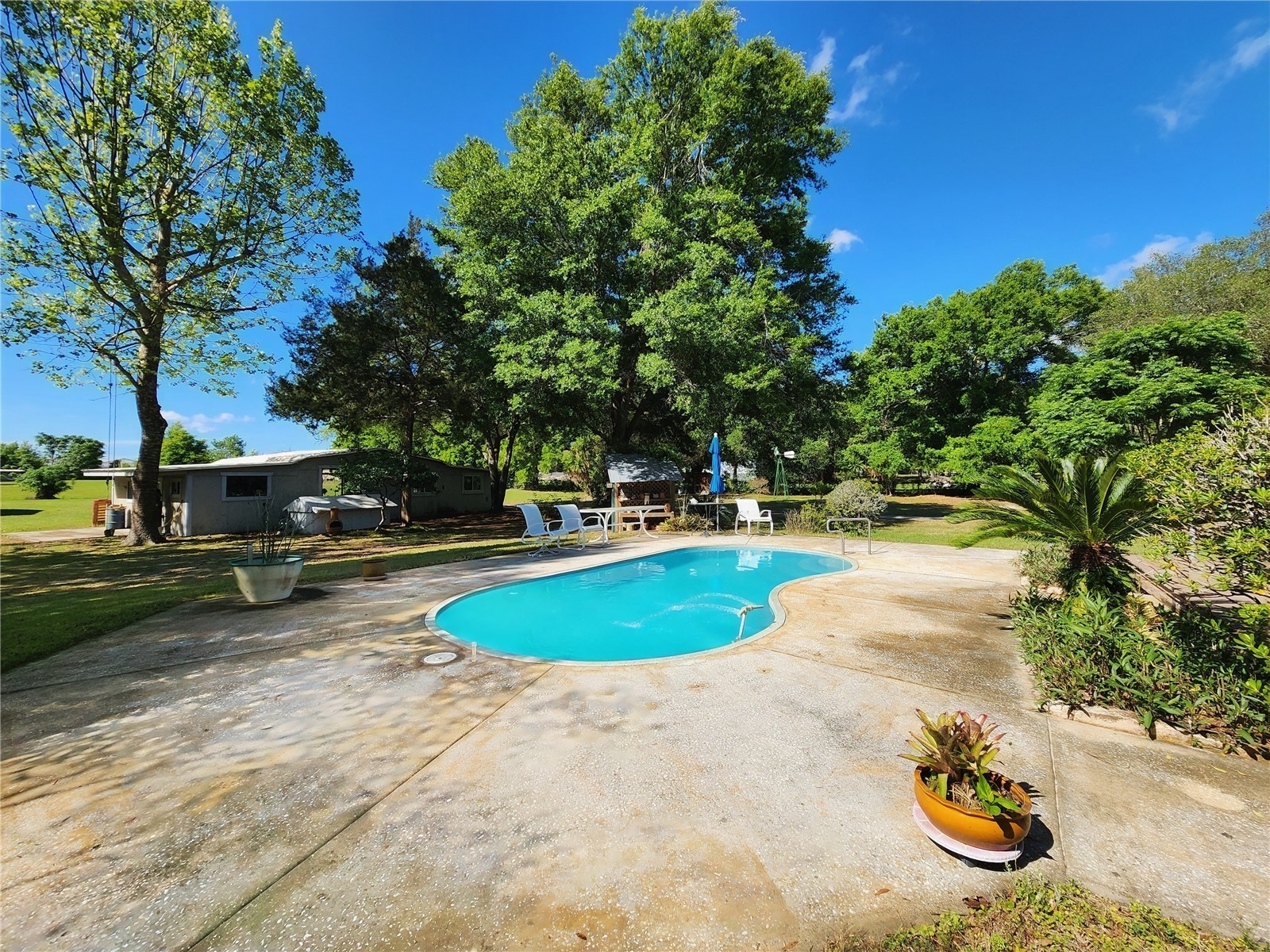 20916 County Road 44a Eustis FL 32736 G5110584 image37