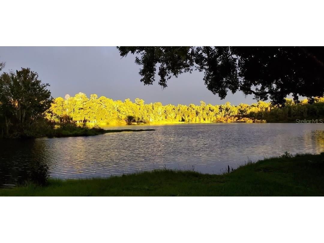 2092 Culbreath Road #A78 Brooksville FL 34602 - SPARKMAN LAKE TB8509496 image1