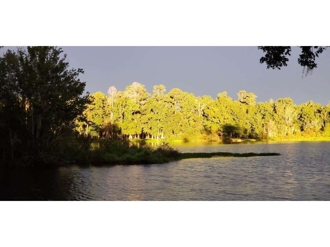 2092 Culbreath Road #A78 Brooksville FL 34602 - SPARKMAN LAKE TB8509496 image2