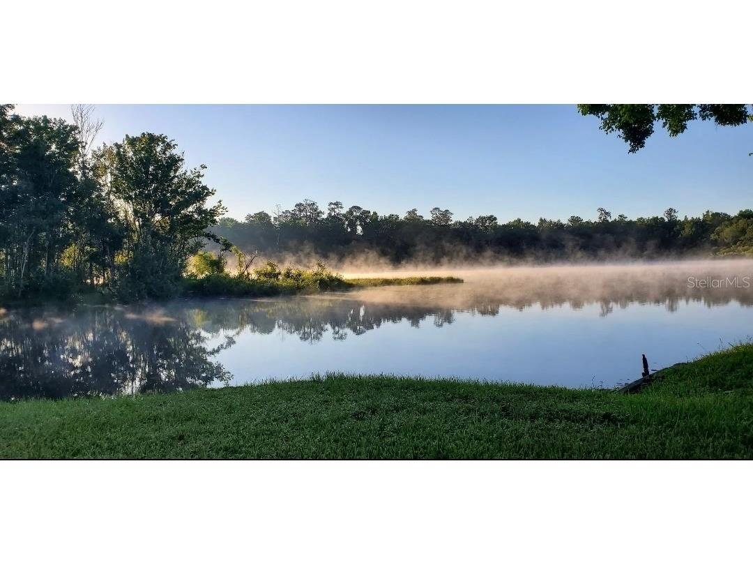 2092 Culbreath Road #A78 Brooksville FL 34602 - SPARKMAN LAKE TB8509496 image3