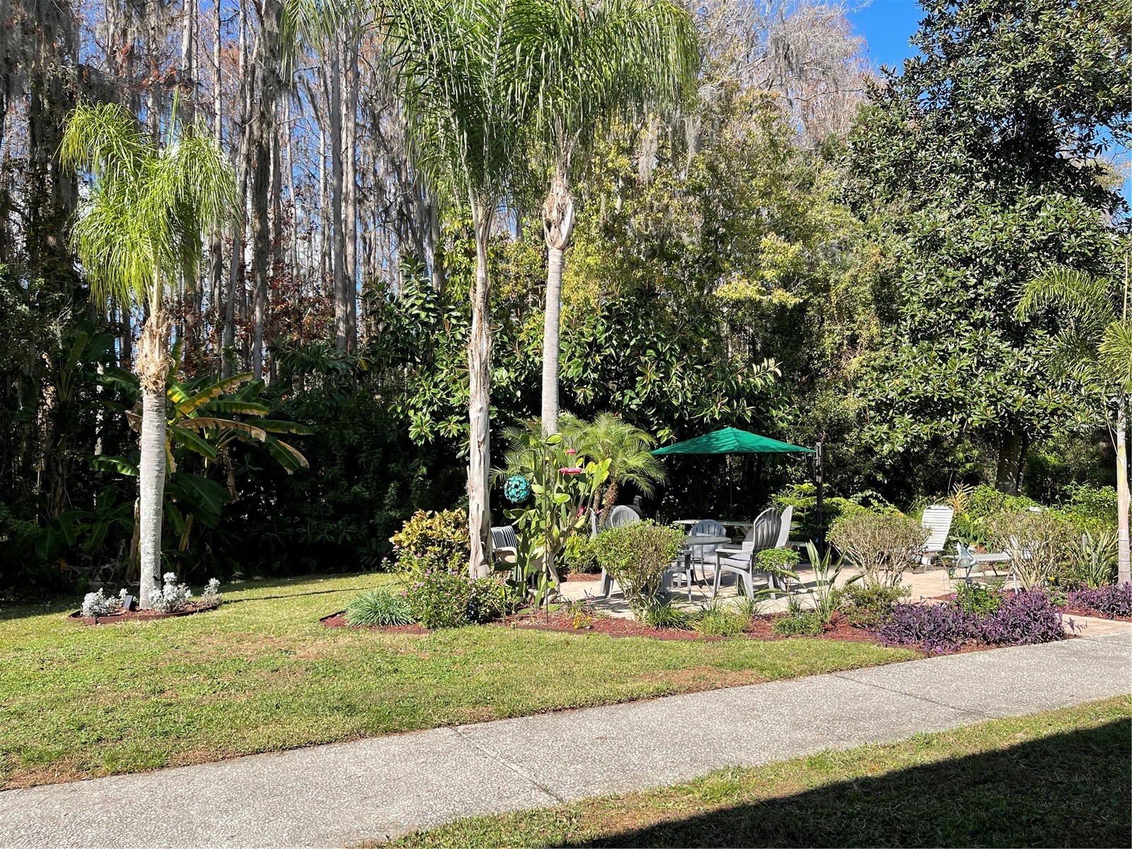 20921 Haulover Cove #11 Lutz FL 33558 W7881933 image2