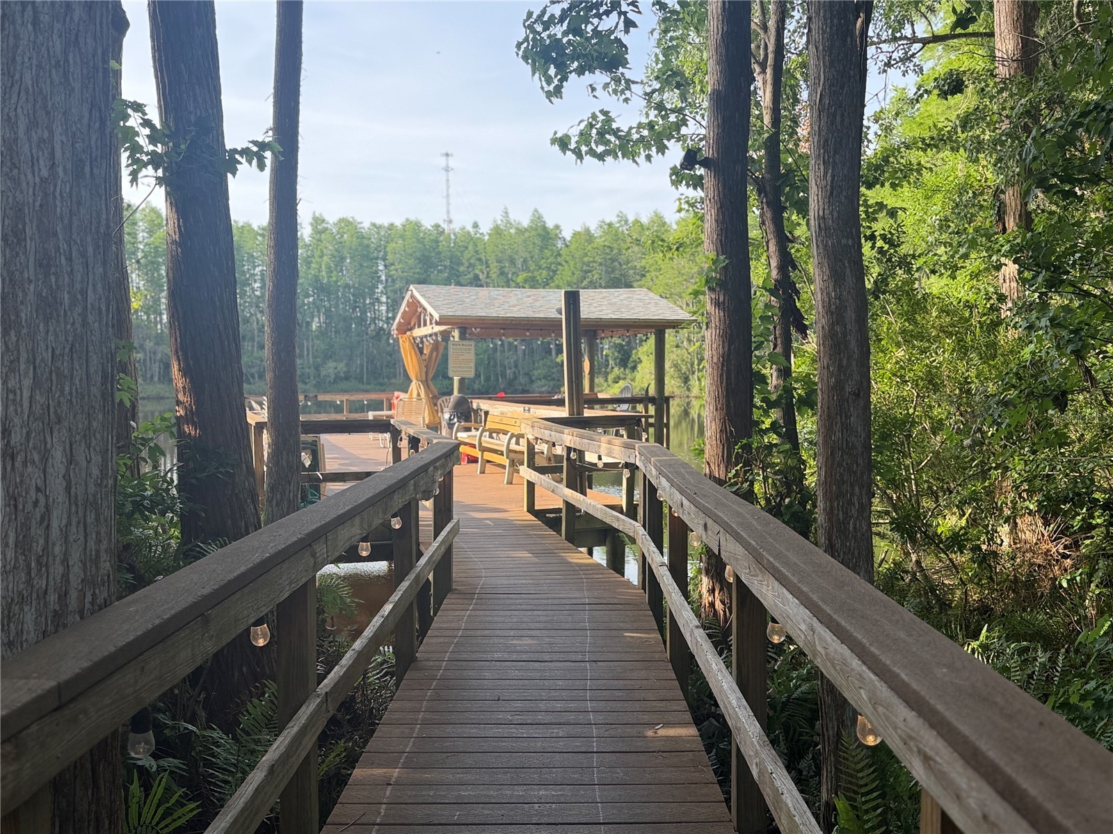 20921 Haulover Cove #11 Lutz FL 33558 W7881933 image35