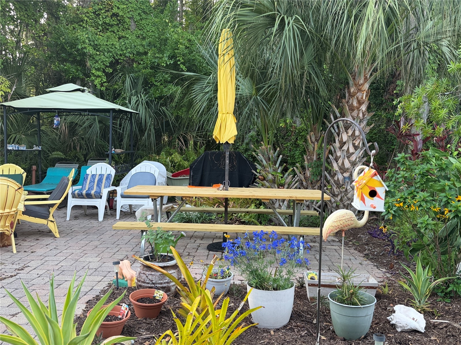 20921 Haulover Cove #11 Lutz FL 33558 W7881933 image39