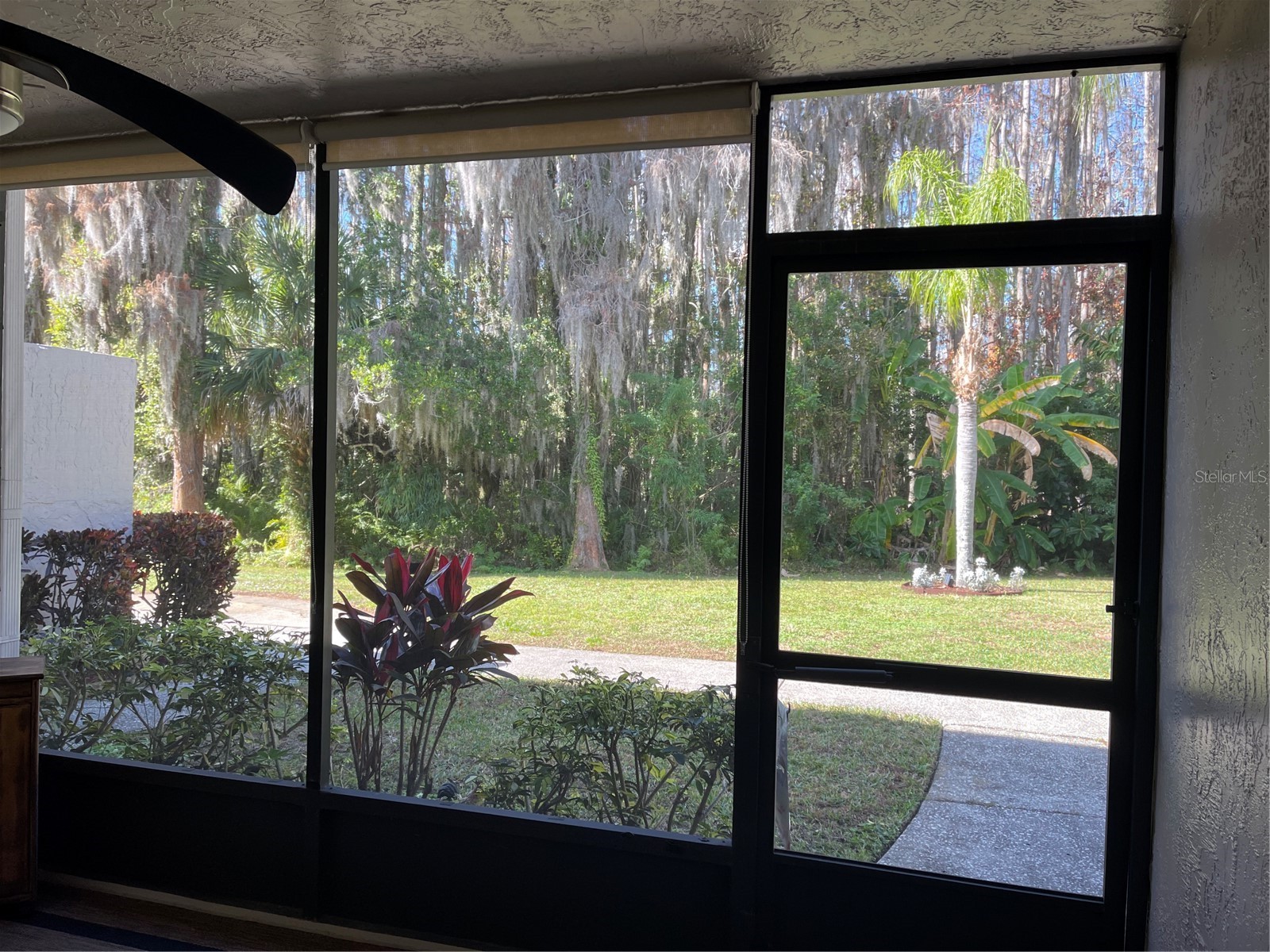 20921 Haulover Cove #11 Lutz FL 33558 W7881933 image5