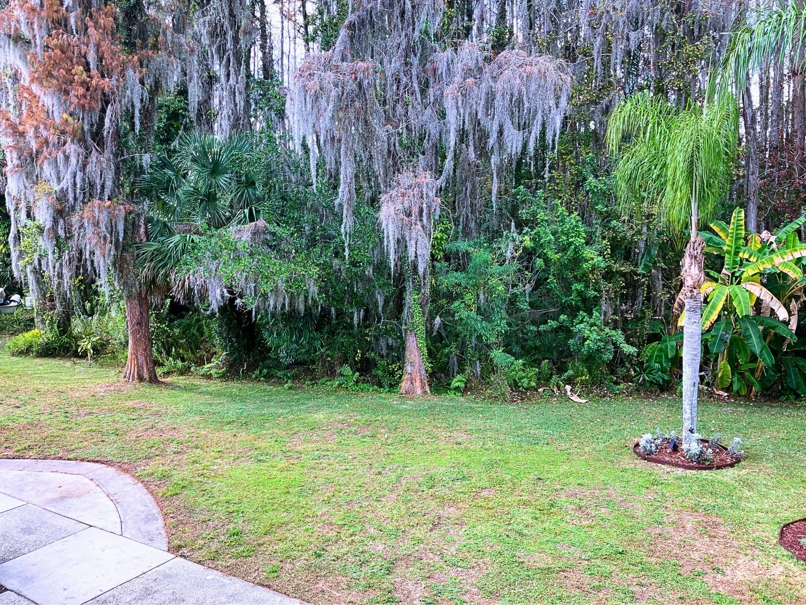 20921 Haulover Cove #F14 Lutz FL 33558 TB8461130 image7