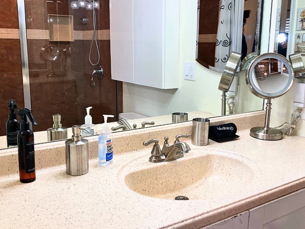 20921 Haulover Cove #F2 Lutz FL 33558 TB8455153 image24