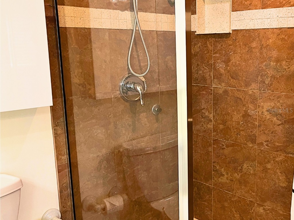 20921 Haulover Cove #F2 Lutz FL 33558 TB8455153 image26