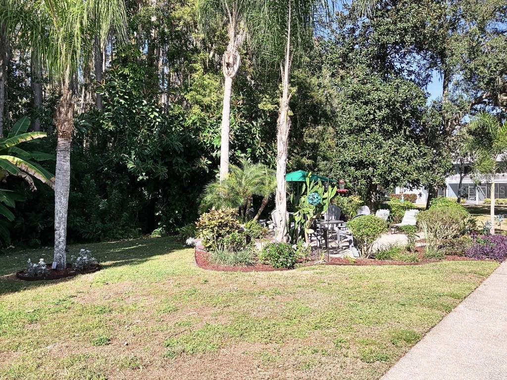 20921 Haulover Cove #F2 Lutz FL 33558 TB8455153 image28