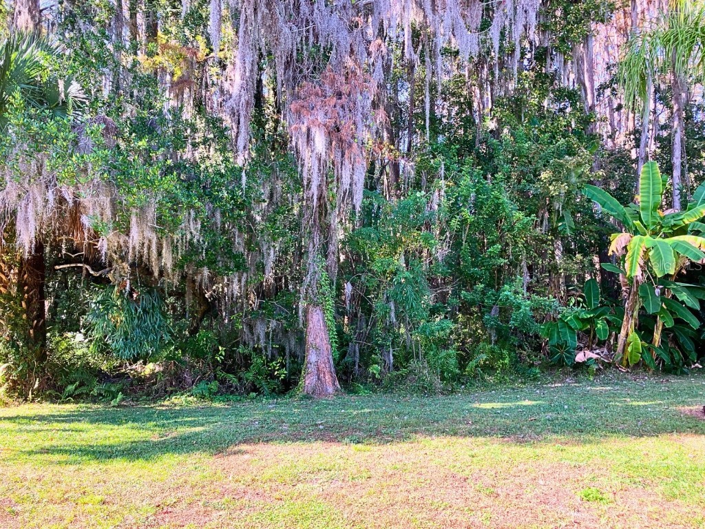 20921 Haulover Cove #F2 Lutz FL 33558 TB8455153 image29