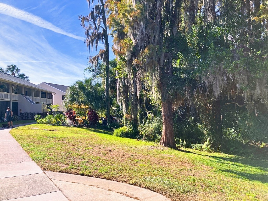 20921 Haulover Cove #F2 Lutz FL 33558 TB8455153 image30