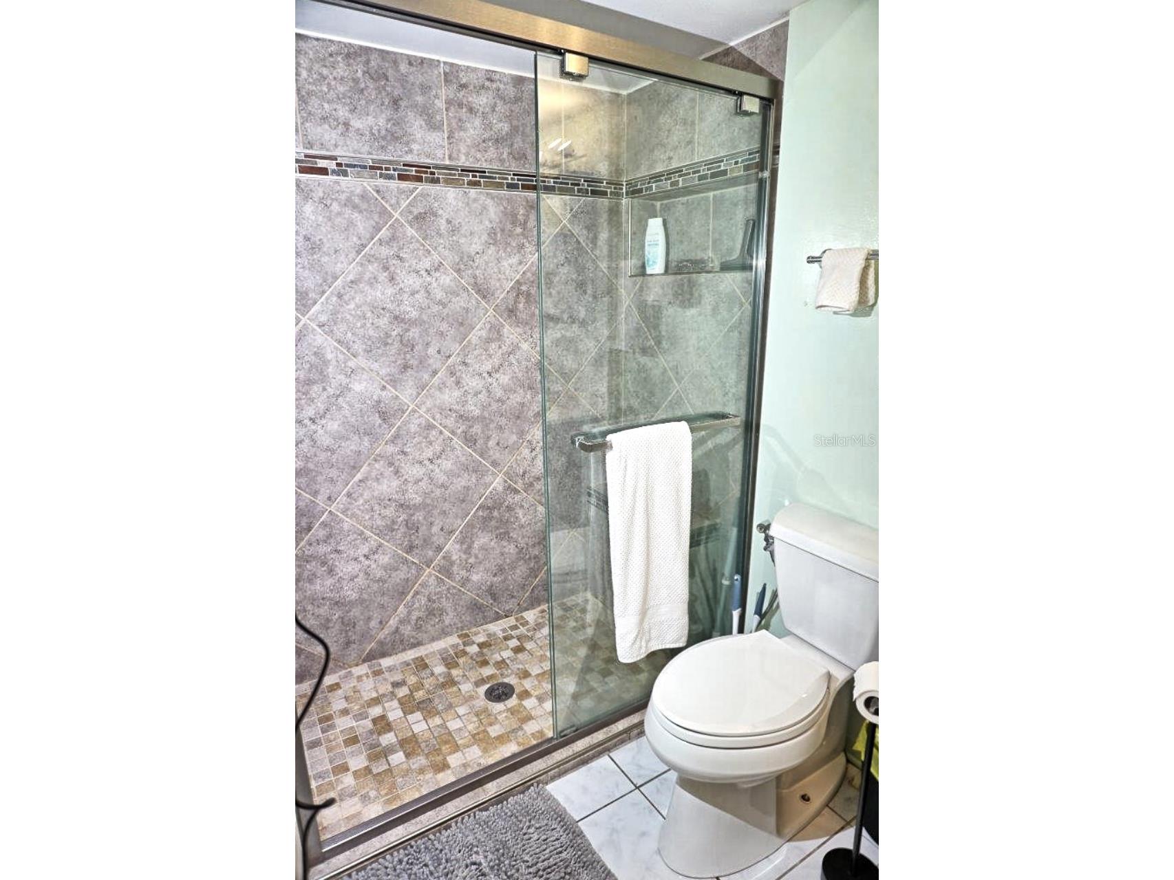 20921 Haulover Cove #F5 Lutz FL 33558 W7881262 image20