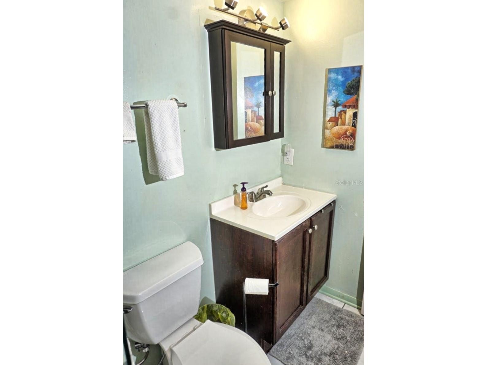 20921 Haulover Cove #F5 Lutz FL 33558 W7881262 image21