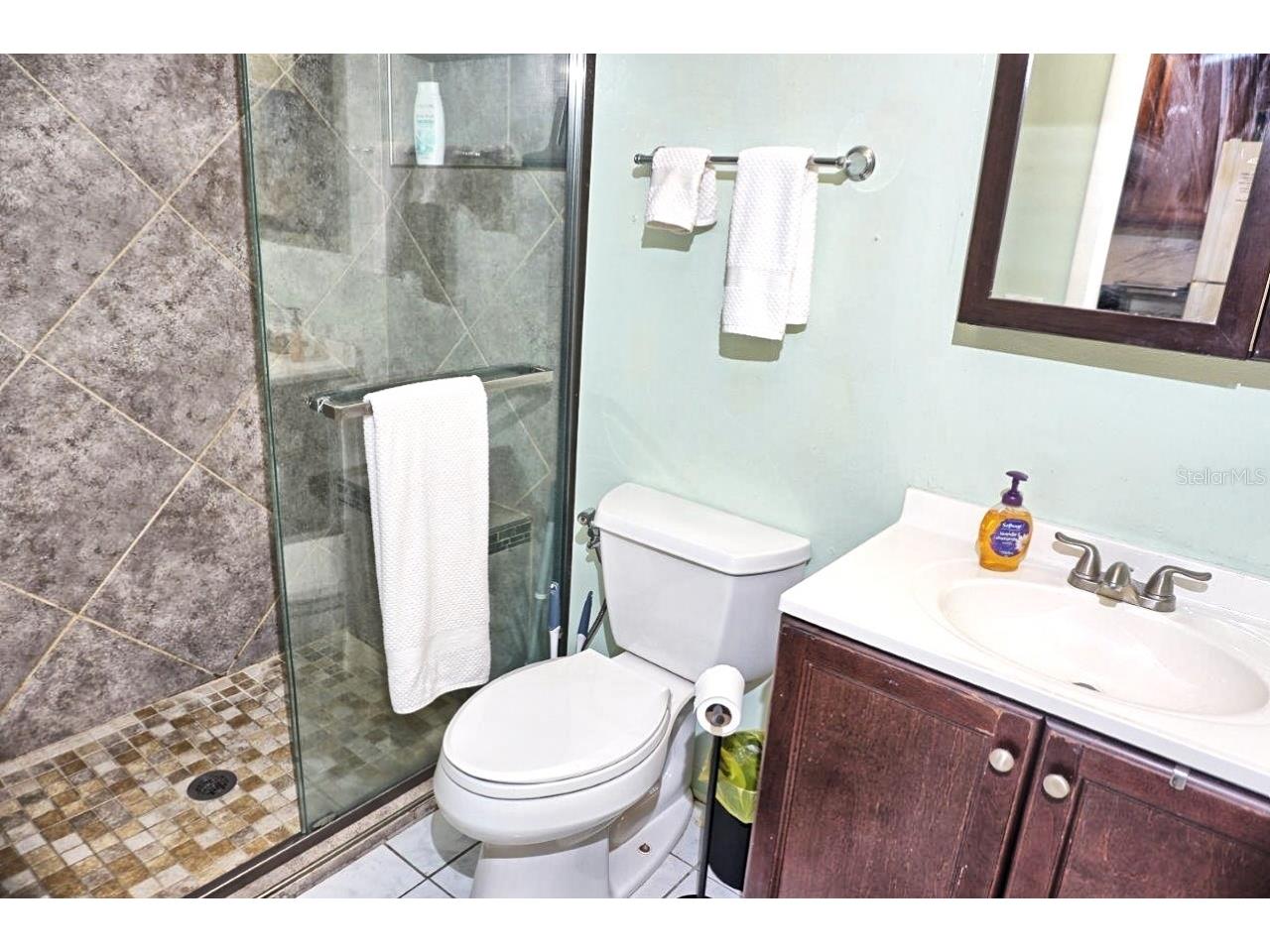 20921 Haulover Cove #F5 Lutz FL 33558 W7881262 image22