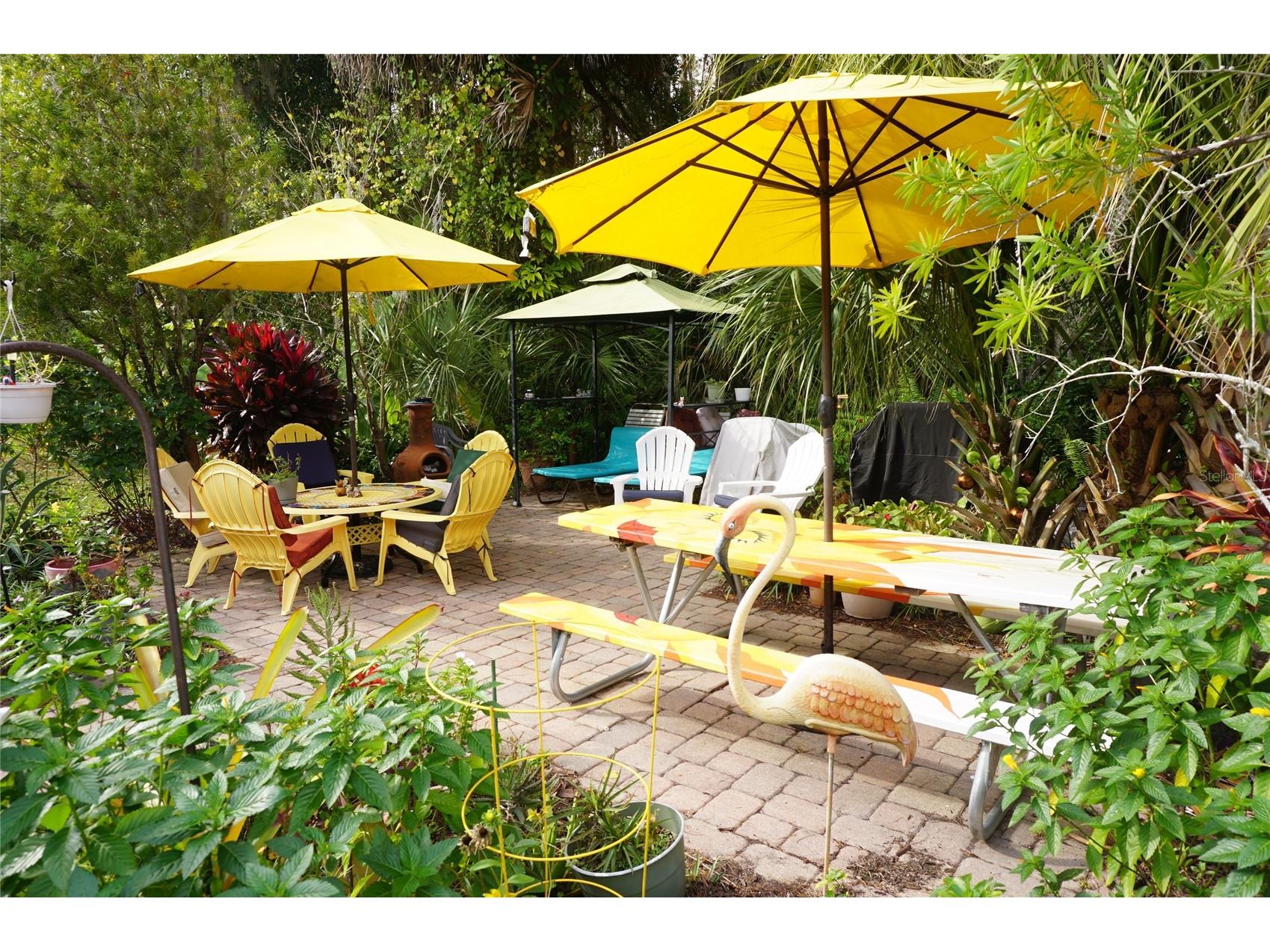 20921 Haulover Cove #F5 Lutz FL 33558 W7881262 image25