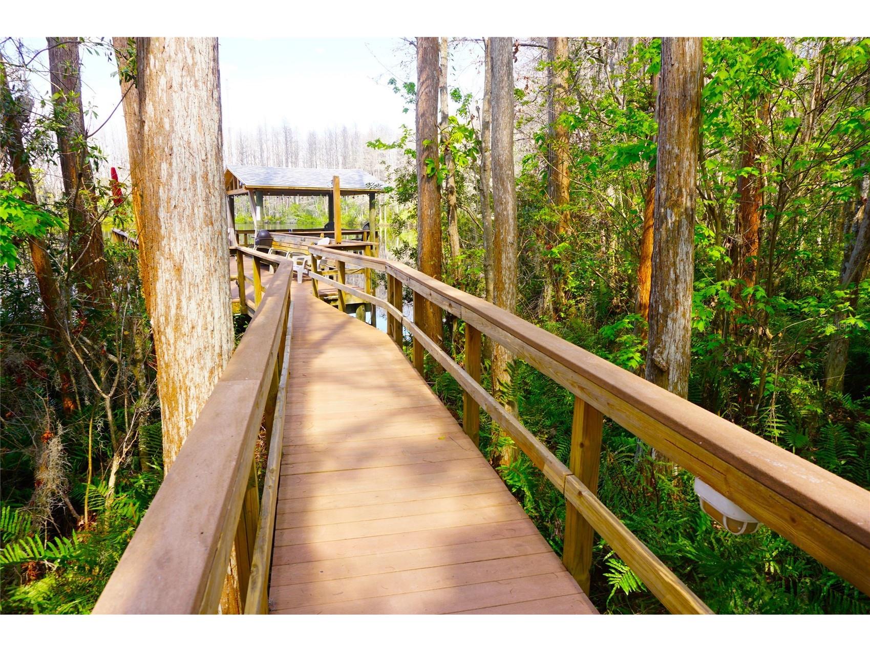 20921 Haulover Cove #F5 Lutz FL 33558 W7881262 image27