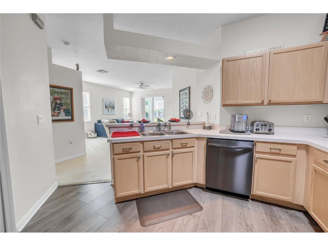 20922 Jaffa Lane Land O Lakes FL 34637 TB8433219 image14