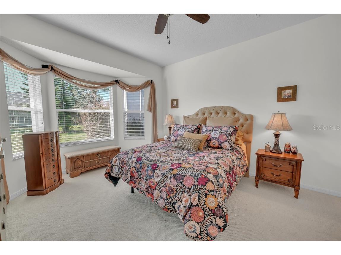 20922 Jaffa Lane Land O Lakes FL 34637 TB8433219 image15