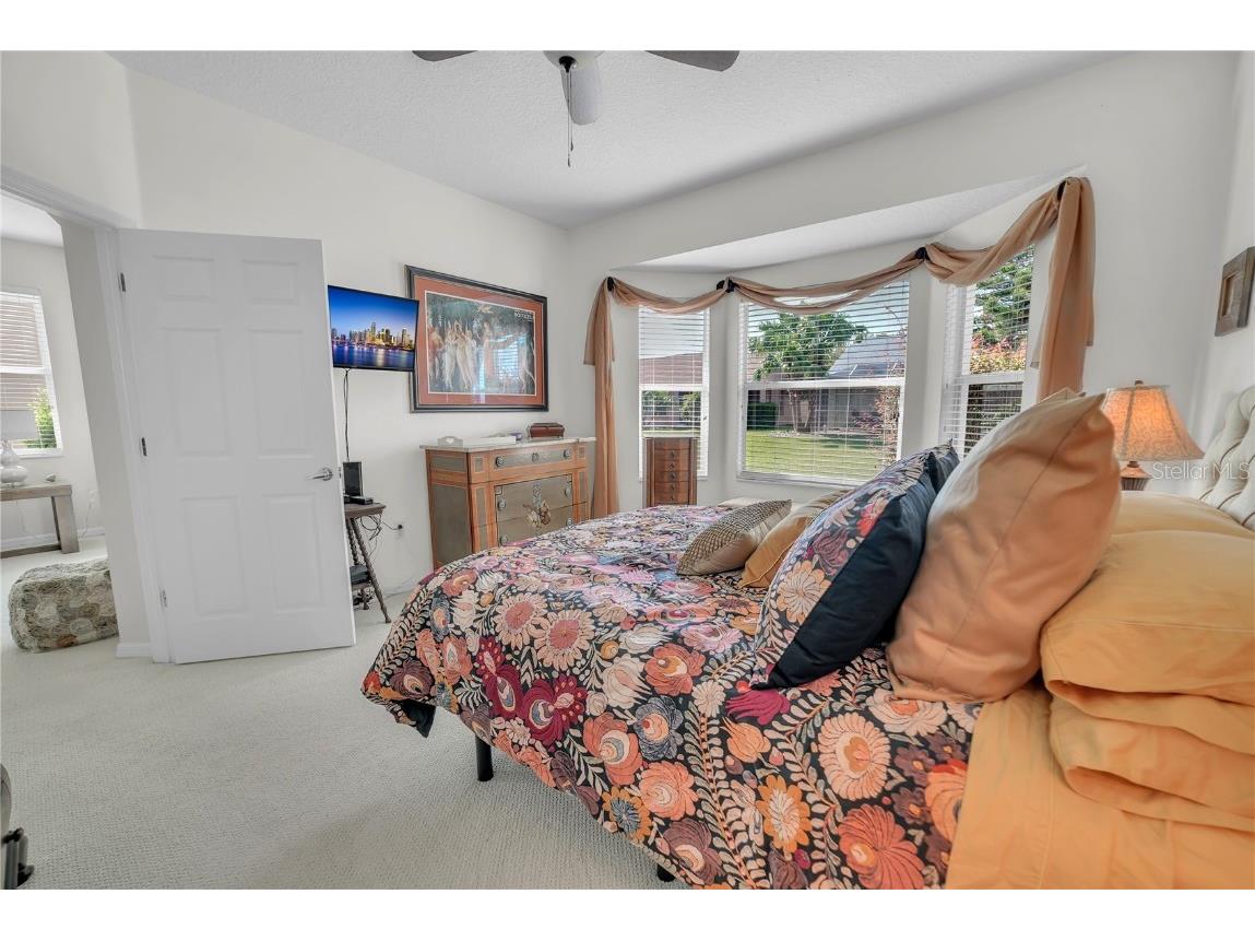 20922 Jaffa Lane Land O Lakes FL 34637 TB8433219 image16