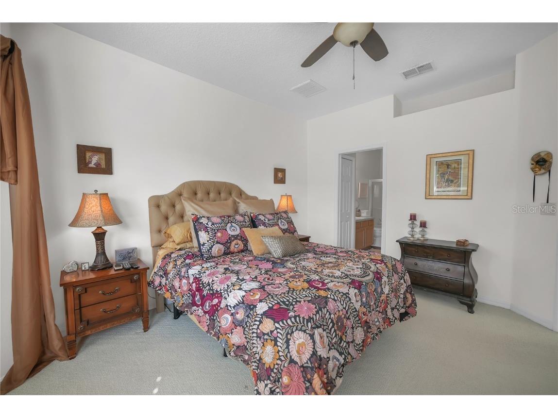 20922 Jaffa Lane Land O Lakes FL 34637 TB8433219 image17