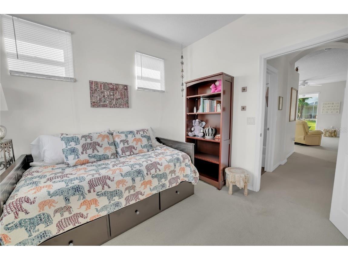 20922 Jaffa Lane Land O Lakes FL 34637 TB8433219 image23