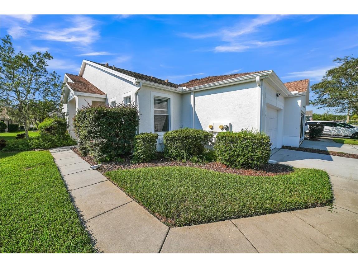 20922 Jaffa Lane Land O Lakes FL 34637 TB8433219 image30