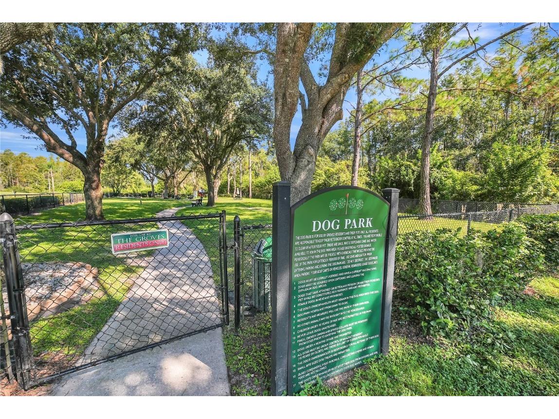 20922 Jaffa Lane Land O Lakes FL 34637 TB8433219 image33