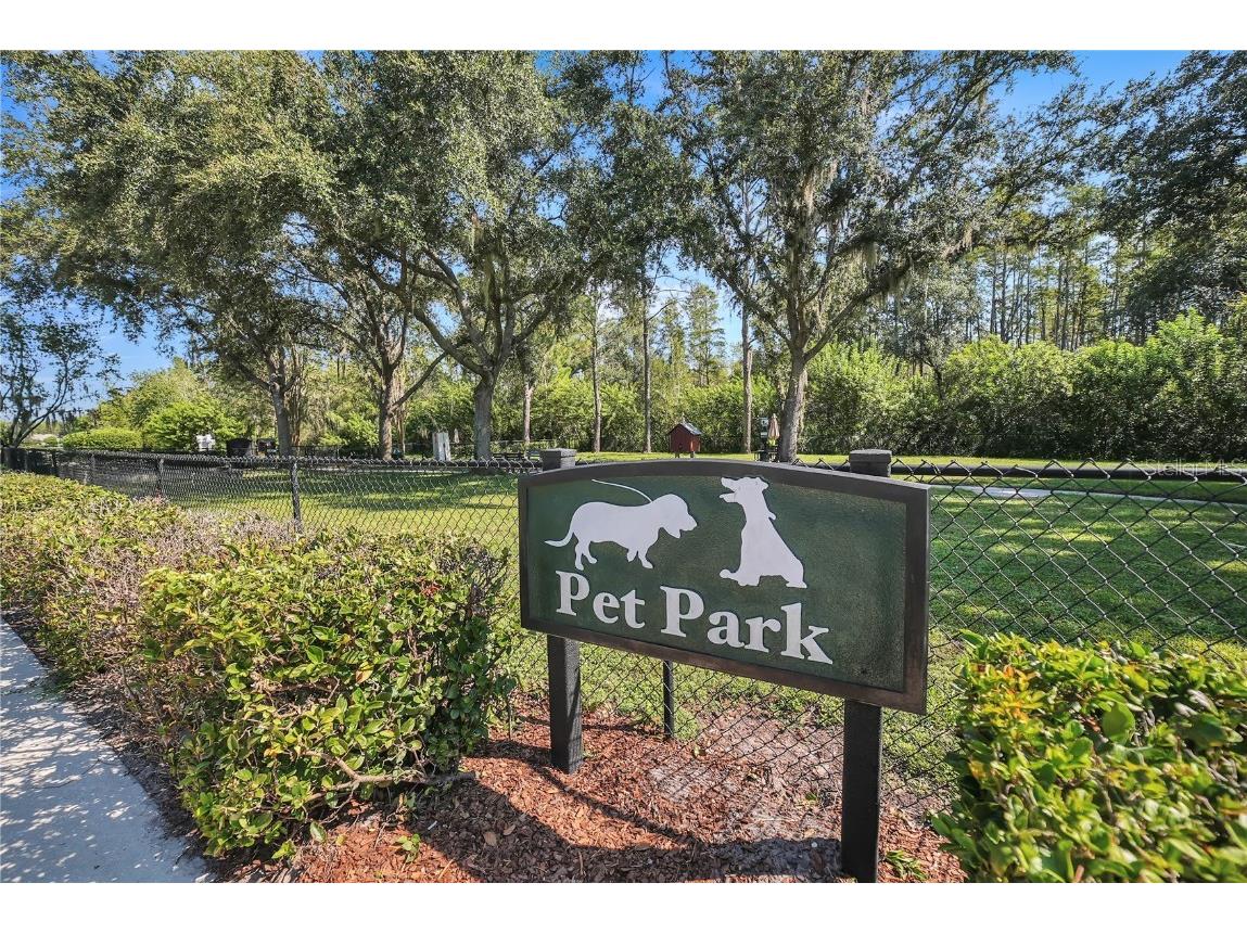 20922 Jaffa Lane Land O Lakes FL 34637 TB8433219 image34