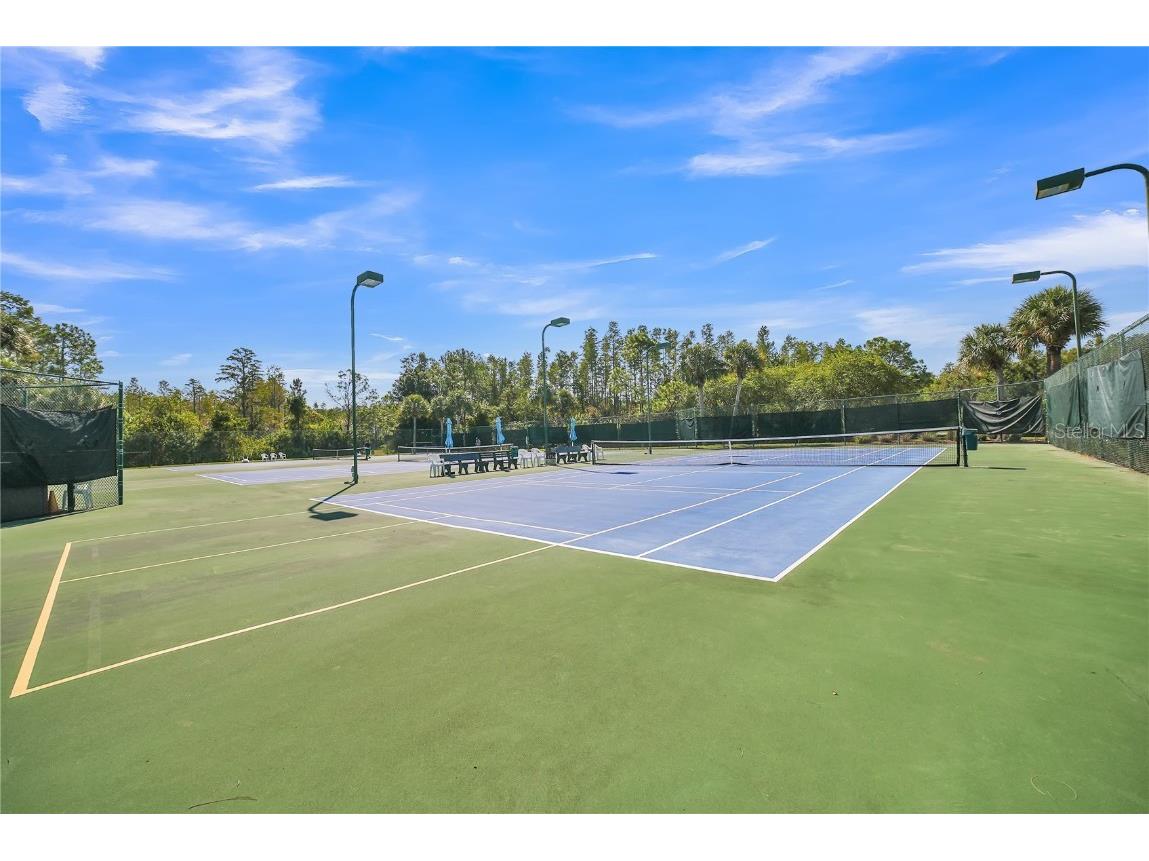 20922 Jaffa Lane Land O Lakes FL 34637 TB8433219 image39