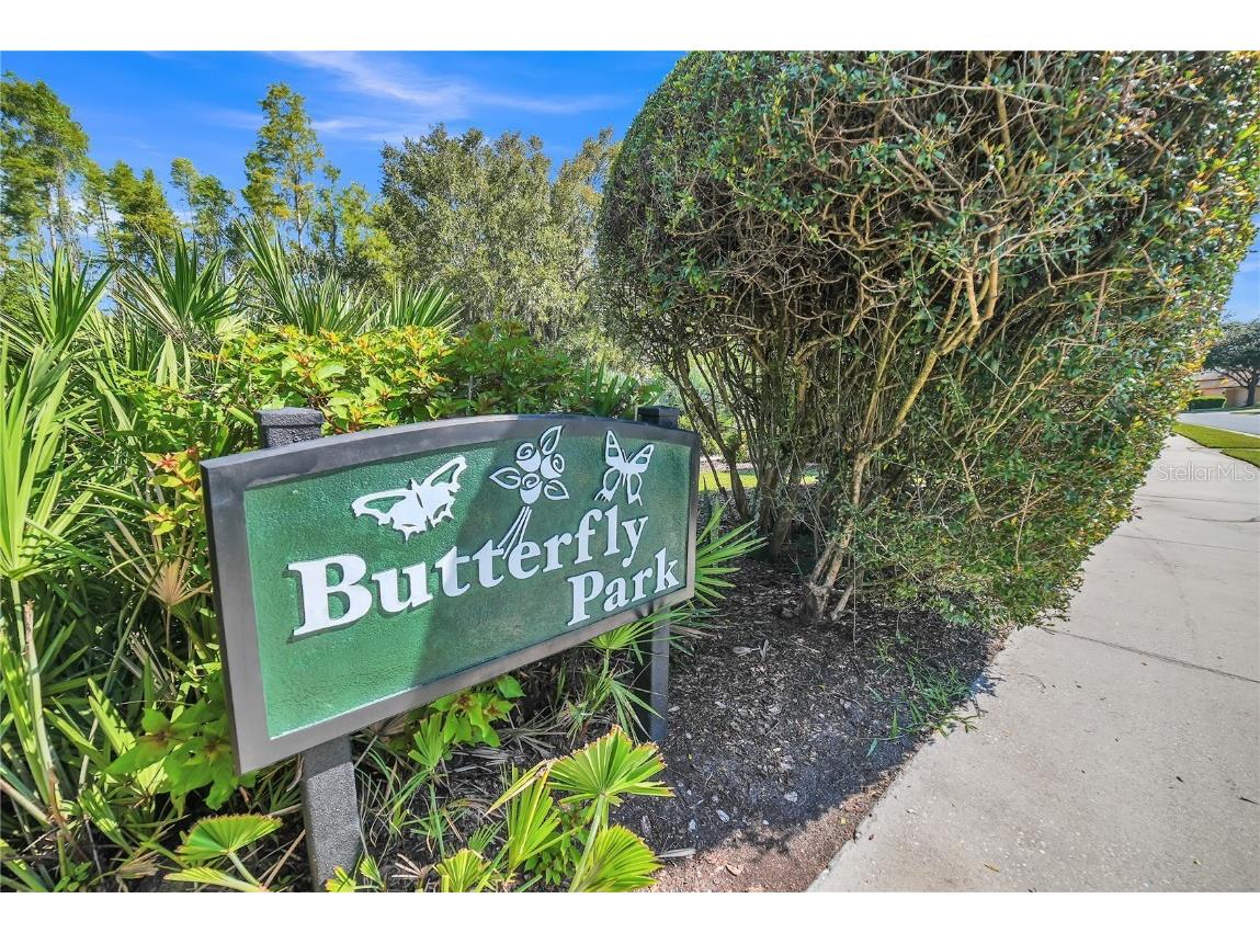 20922 Jaffa Lane Land O Lakes FL 34637 TB8433219 image40