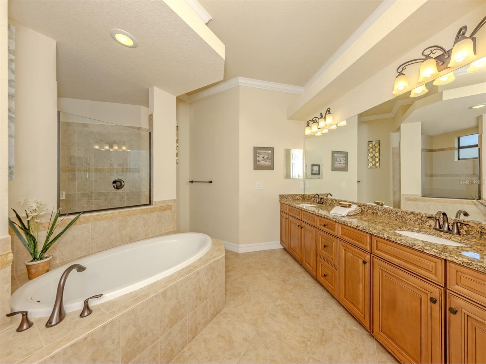 20925 Loggia Court Venice FL 34293 N6143318 image17