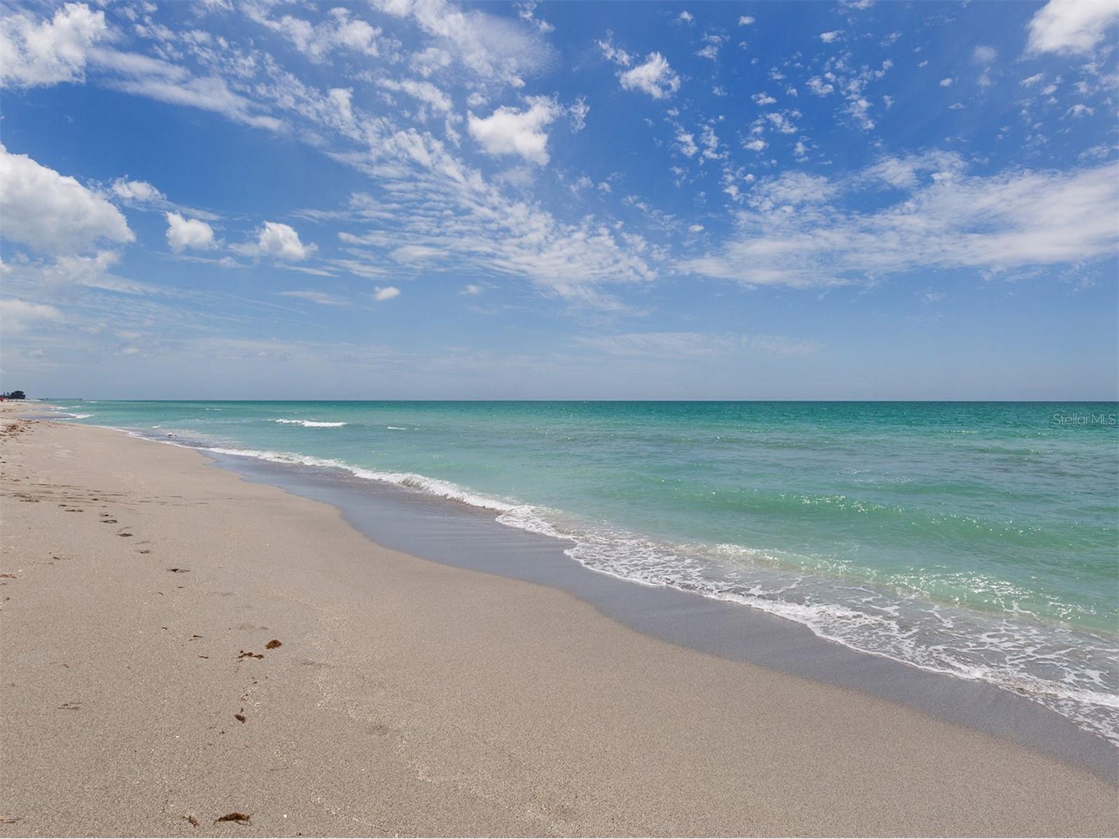 20925 Loggia Court Venice FL 34293 N6143318 image89