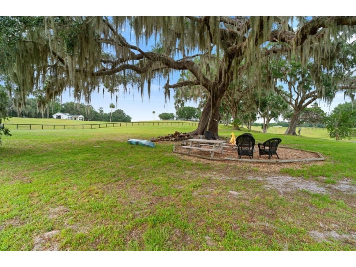 20925 NW 100th Avenue Road Micanopy FL 32667 O6333925 image18