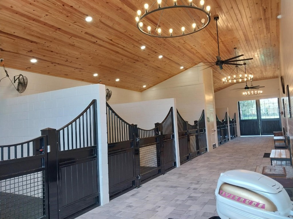 20925 NW 100th Avenue Road Micanopy FL 32667 O6333925 image5