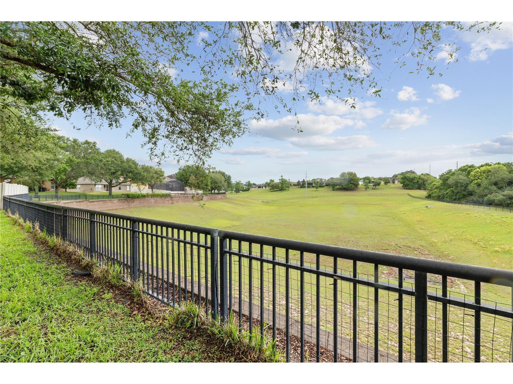 20926 Sullivan Ranch Boulevard Mount Dora FL 32757 O6395963 image32