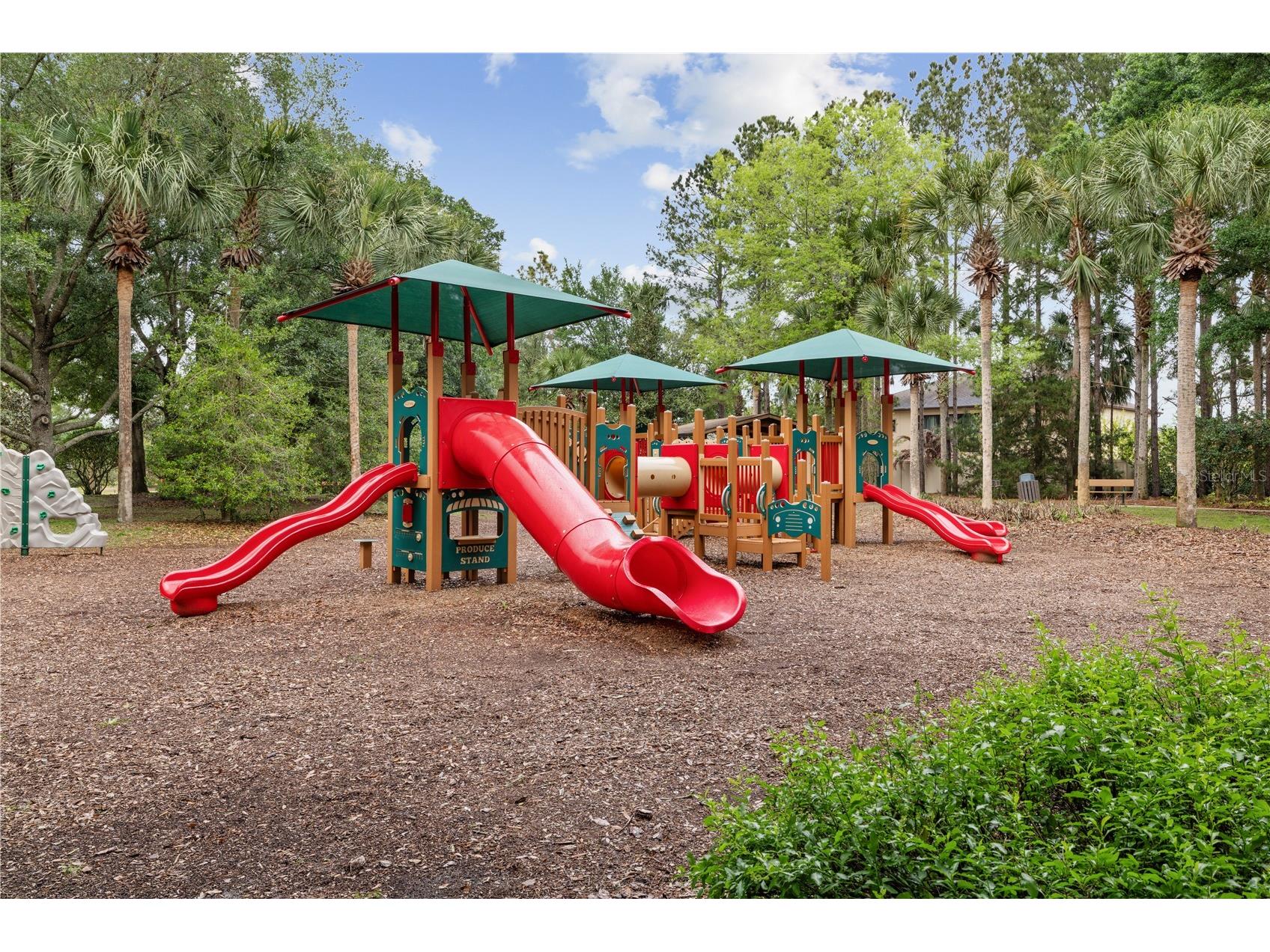 20926 Sullivan Ranch Boulevard Mount Dora FL 32757 O6395963 image44