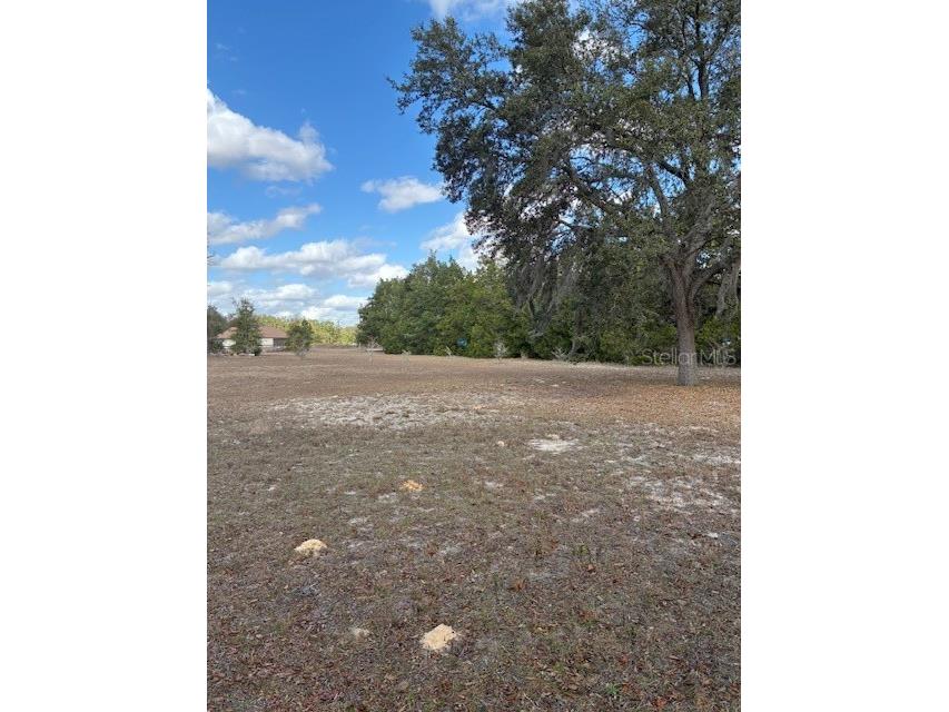 20929 SW Audubon Avenue Dunnellon FL 34431 OM726861 image48