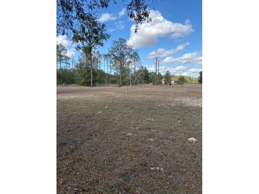 20929 SW Audubon Avenue Dunnellon FL 34431 OM726861 image49