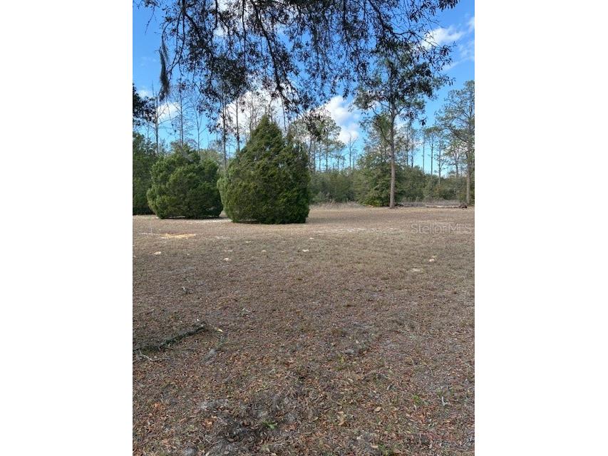 20929 SW Audubon Avenue Dunnellon FL 34431 OM726861 image50