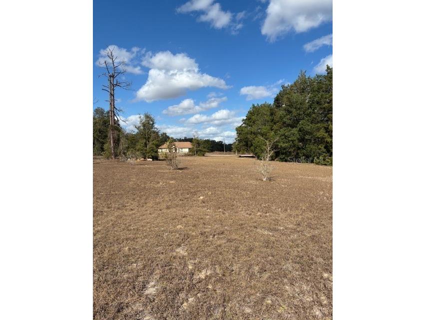 20929 SW Audubon Avenue Dunnellon FL 34431 OM726861 image51