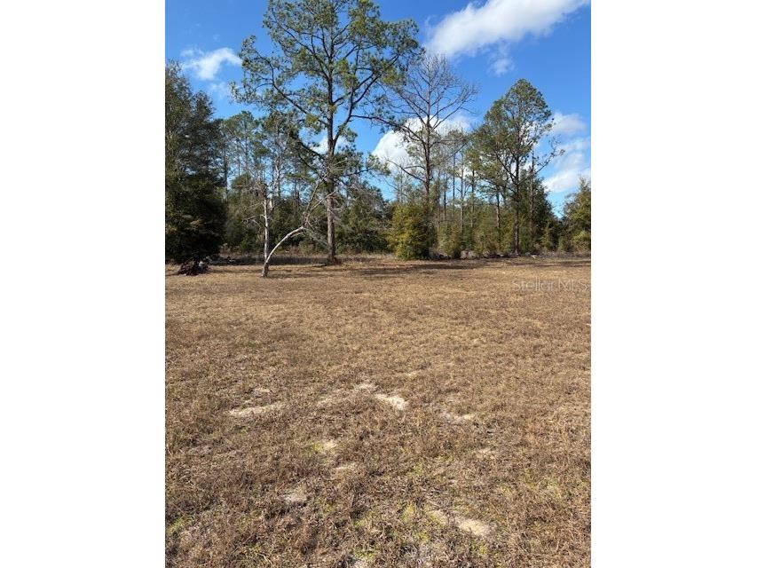 20929 SW Audubon Avenue Dunnellon FL 34431 OM726861 image52
