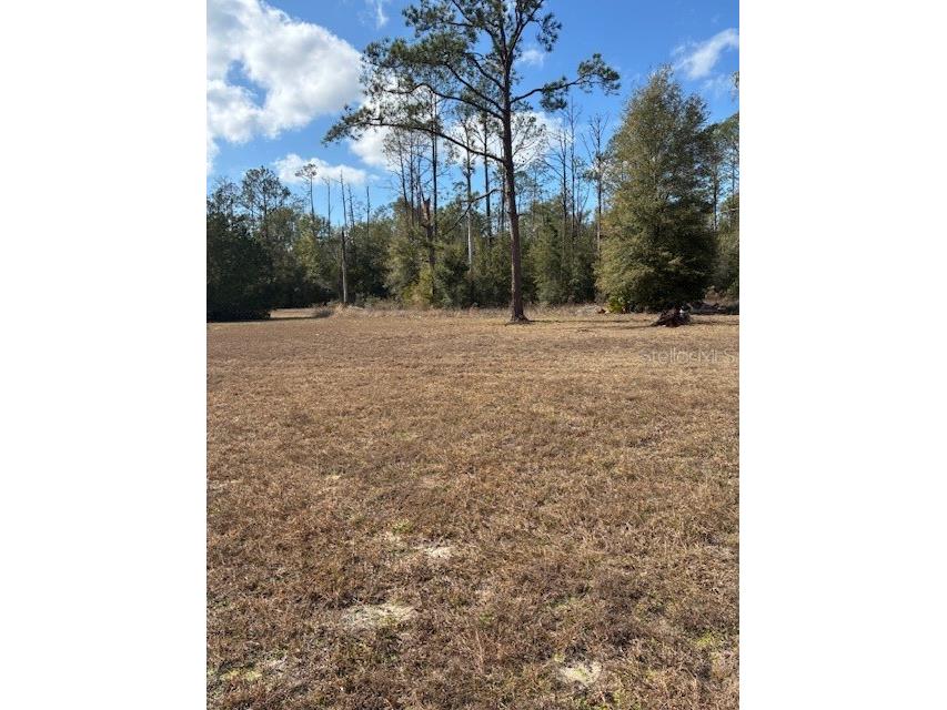 20929 SW Audubon Avenue Dunnellon FL 34431 OM726861 image53