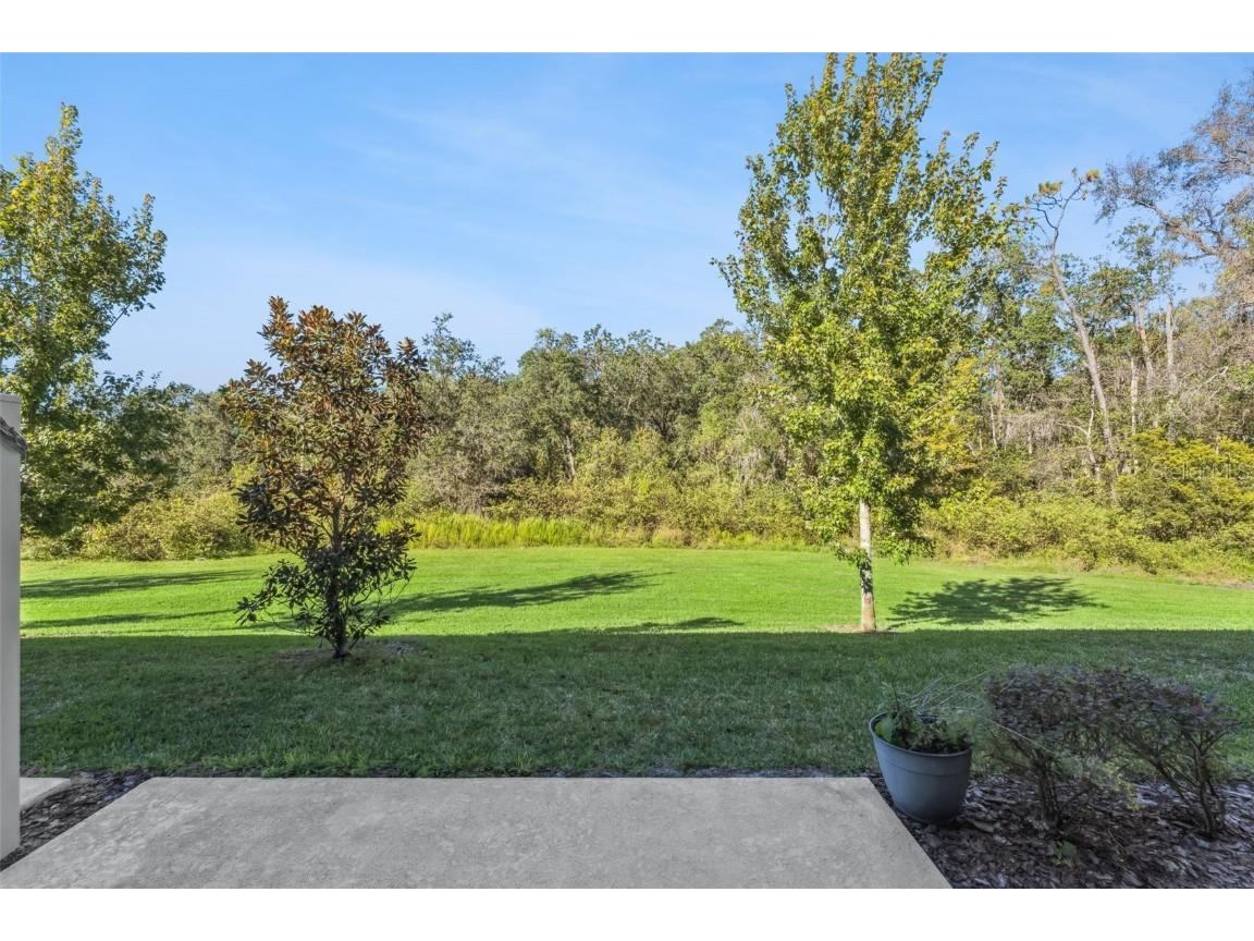 2093 Crystal Bell Street Orlando FL 32824 O6357730 image5