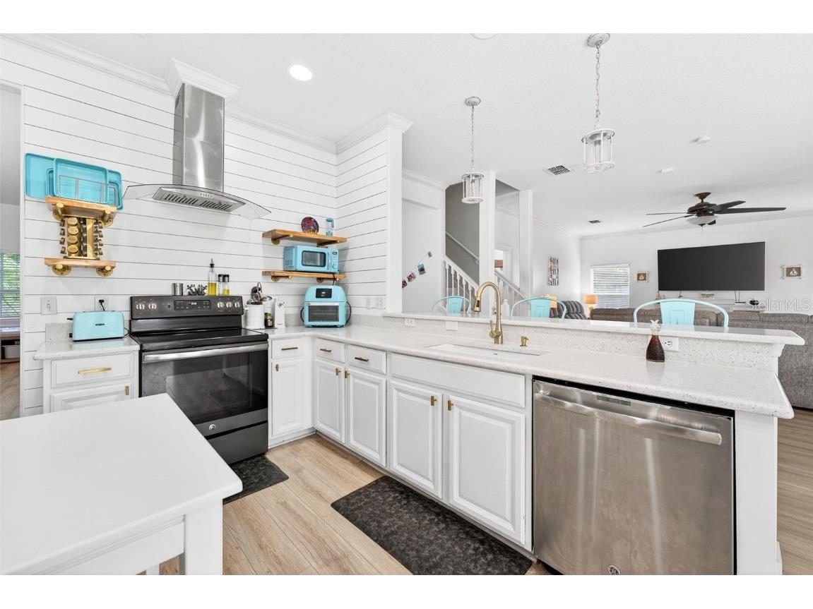 20930 Sullivan Ranch Boulevard Mount Dora FL 32757 O6362834 image10