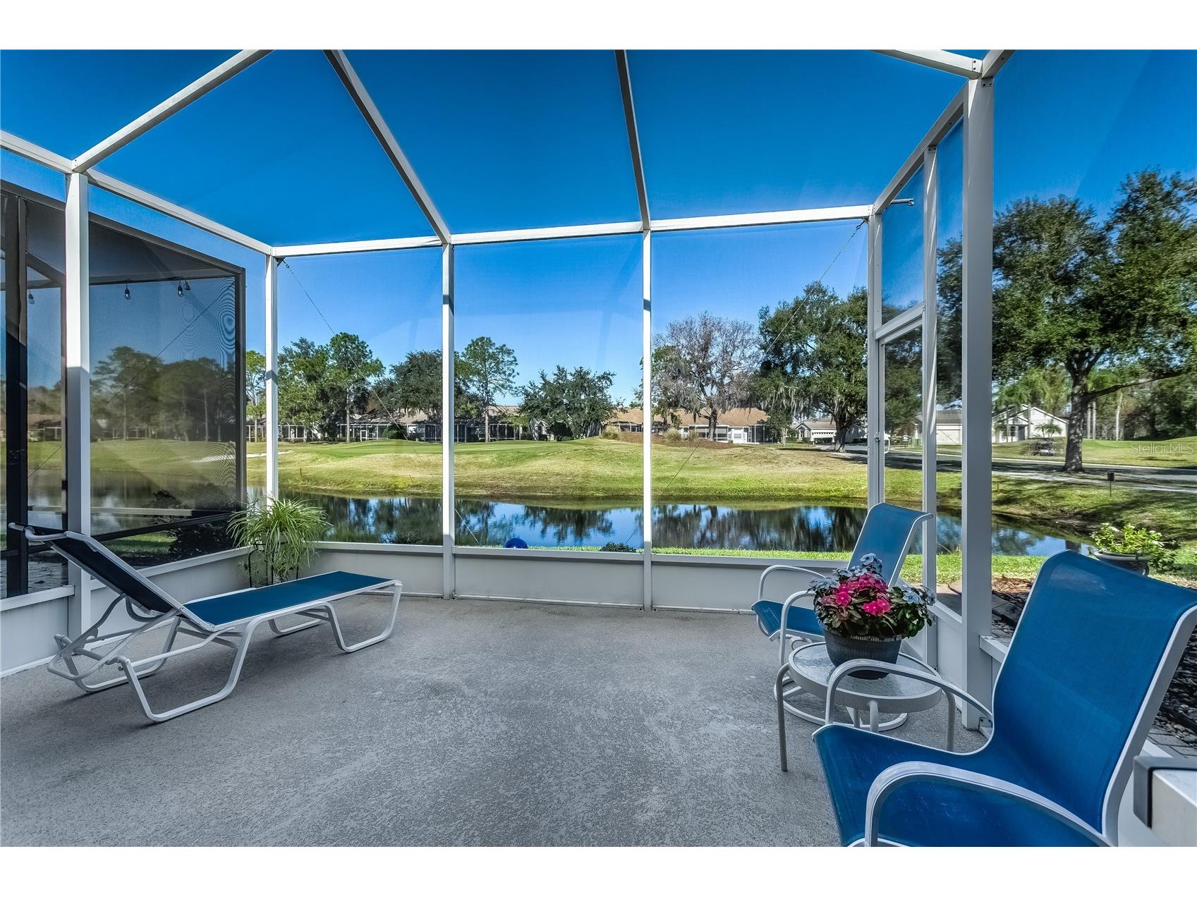20931 Jaffa Lane Land O Lakes FL 34637 TB8458502 image1