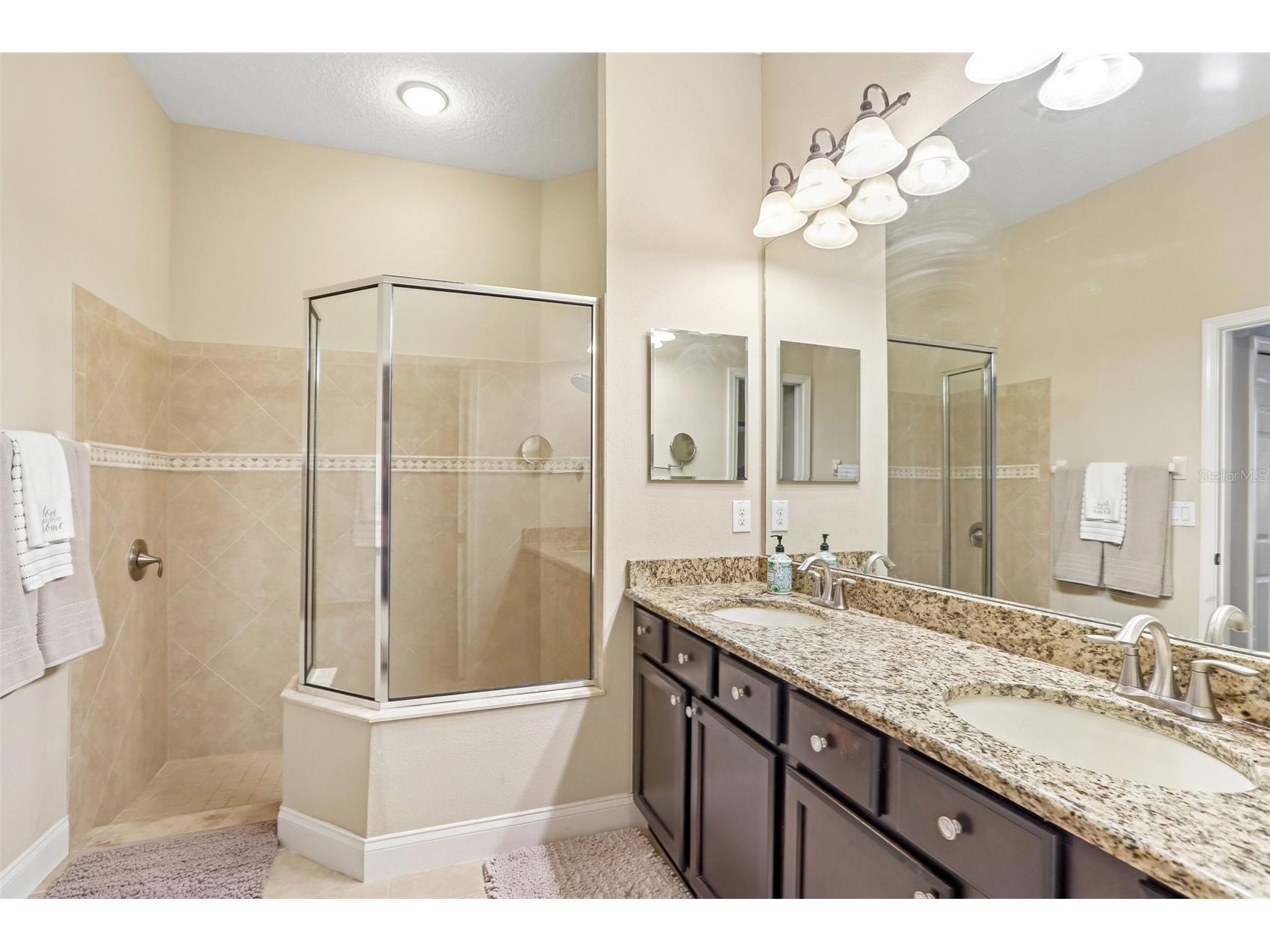 20932 Amanda Oak Court Land O Lakes FL 34638 A4695644 image21