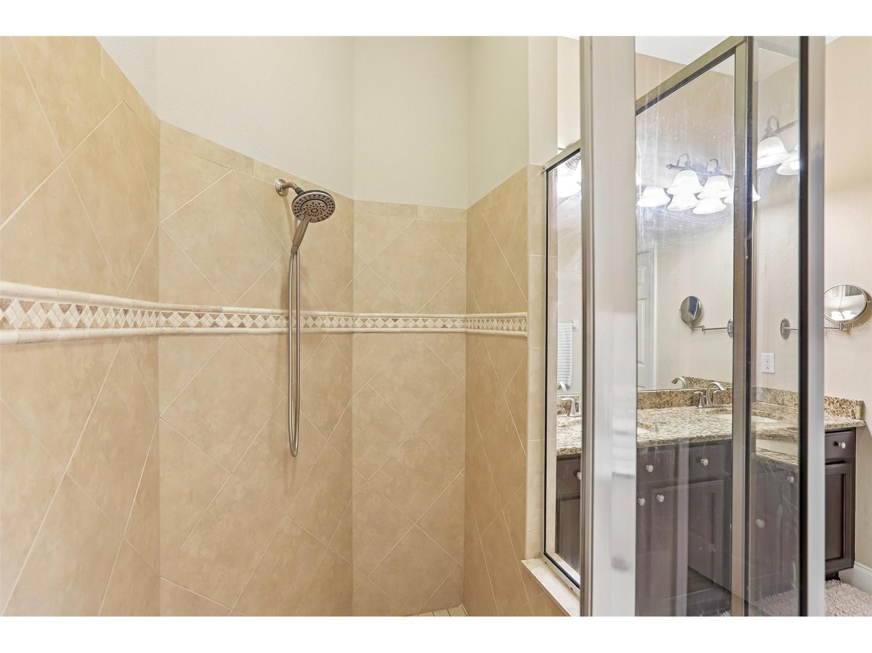 20932 Amanda Oak Court Land O Lakes FL 34638 A4695644 image22