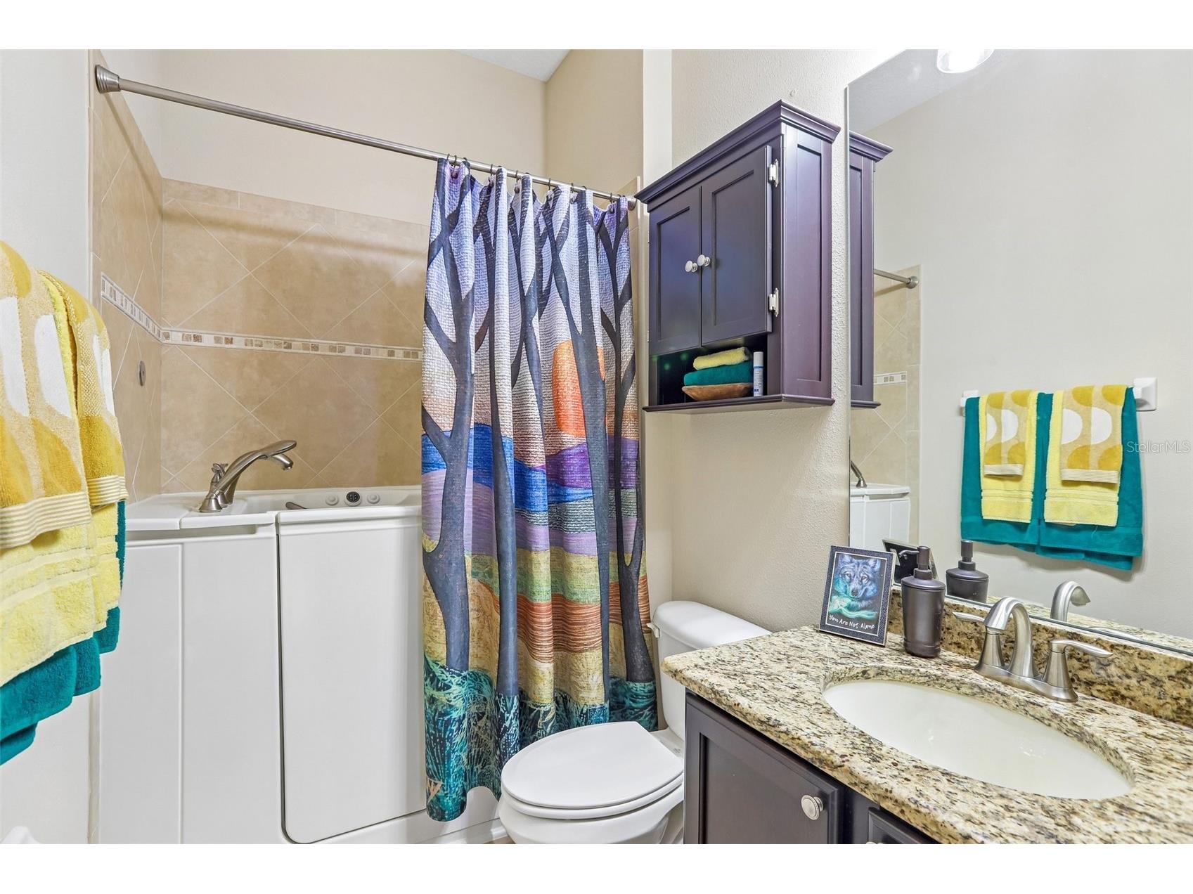 20932 Amanda Oak Court Land O Lakes FL 34638 A4695644 image25